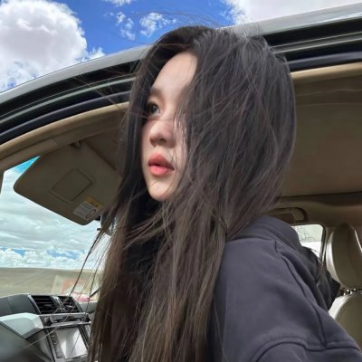 小象守护者